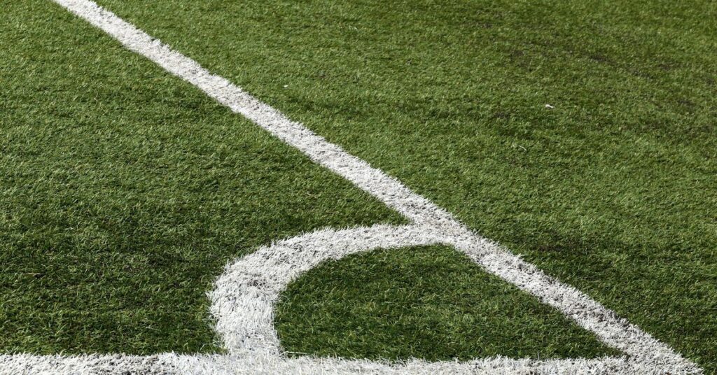 Economic Analysis of Major Sports Leagues
