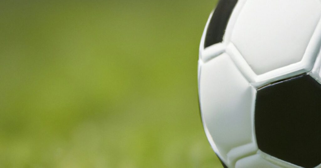 Economic Impact of Professional Sports Organizations