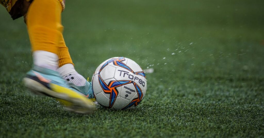 Careers in Sports Management Opportunities and Challenges