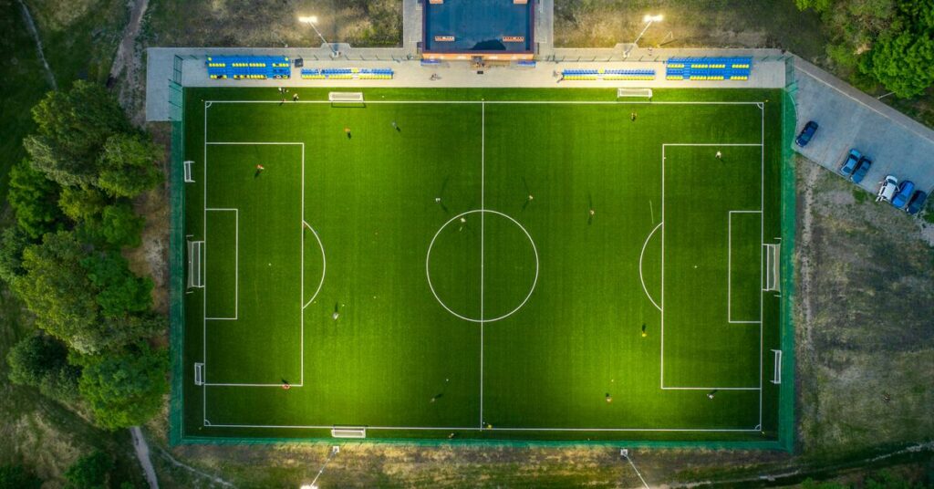 Advances in Sports Psychology Research